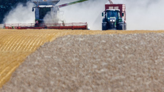 Bauernverband befürchtet teils totalen Ernteausfall