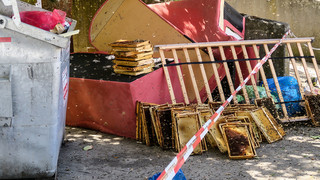 Bienenwaben in Gießen im Müll entsorgt - tausende Bienen sterben