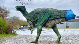Vandalismus in Kassel: Dino vor Ottoneum ohne Schwanz