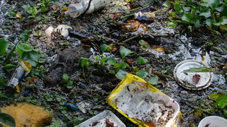 Müll im Hessen-Wald wird nicht weniger