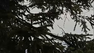Verletzte und Schäden wegen Sturm - Sonntag droht Orkan