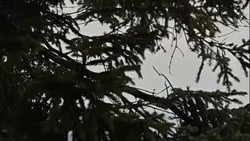 Verletzte und Schäden wegen Sturm - Sonntag droht Orkan