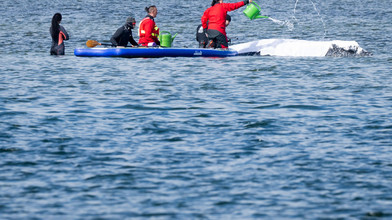 Backhaus: Go zum neuen Wal-Transport-Plan steht noch aus