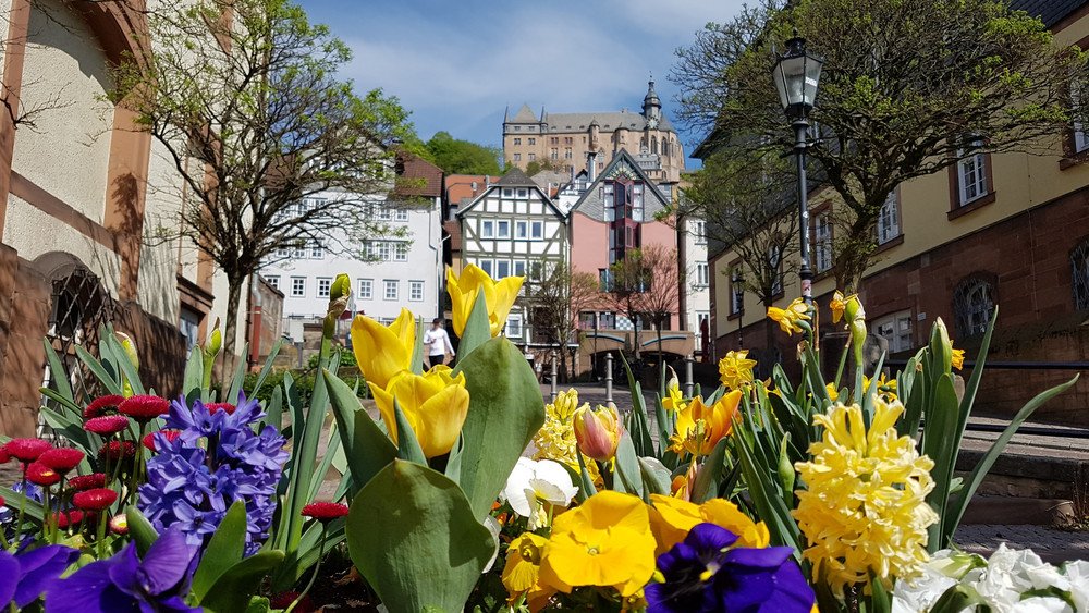 Die Oberstadt blüht richtig auf zum Marburger Frühling.