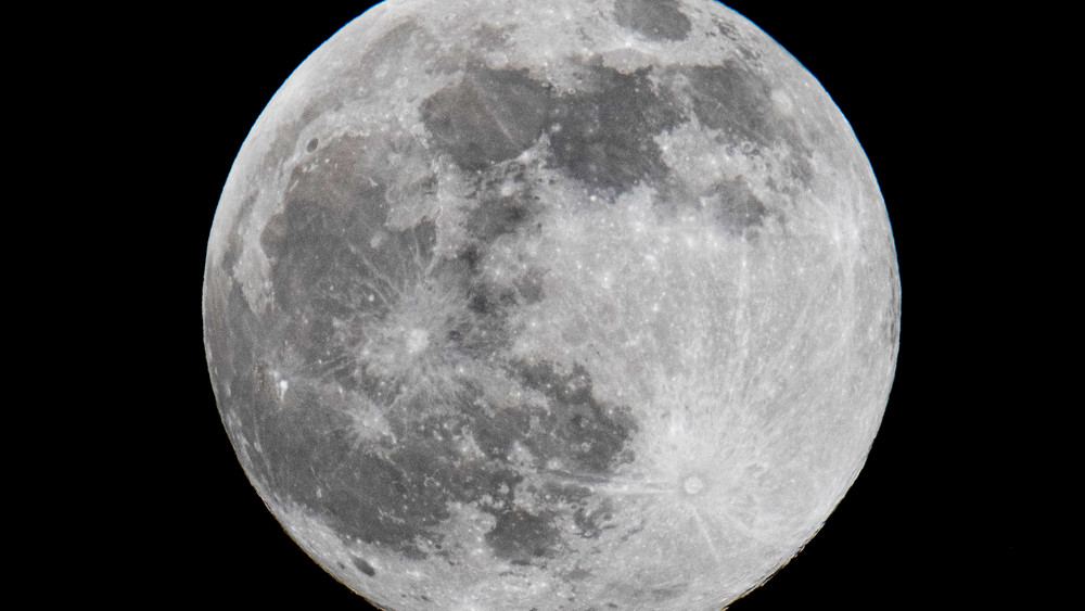 Nasa gibt Crew bekannt: Ende nächsten Jahres fliegen drei Männer und eine Frau um den Mond herum