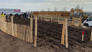 Griesheim pflanzt Mini-Wald
