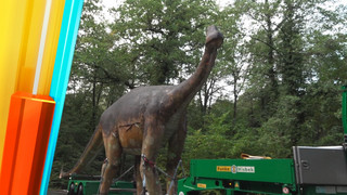 Ein Dino zieht um