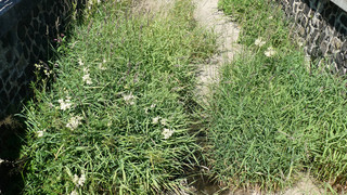 Fulda und Vogelsberg: Kreise verbieten Wasserentnahme aus Gewässern