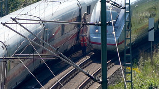 Tier in Oberleitung? 150 ICE-Fahrgäste bei Frankfurt evakuiert