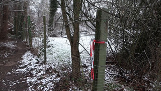 14-Jähriger tot gefunden - Mordkommission ermittelt