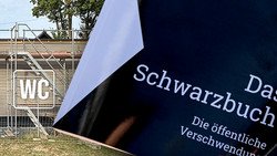 Dreiste Fälle von Steuerverschwendung
