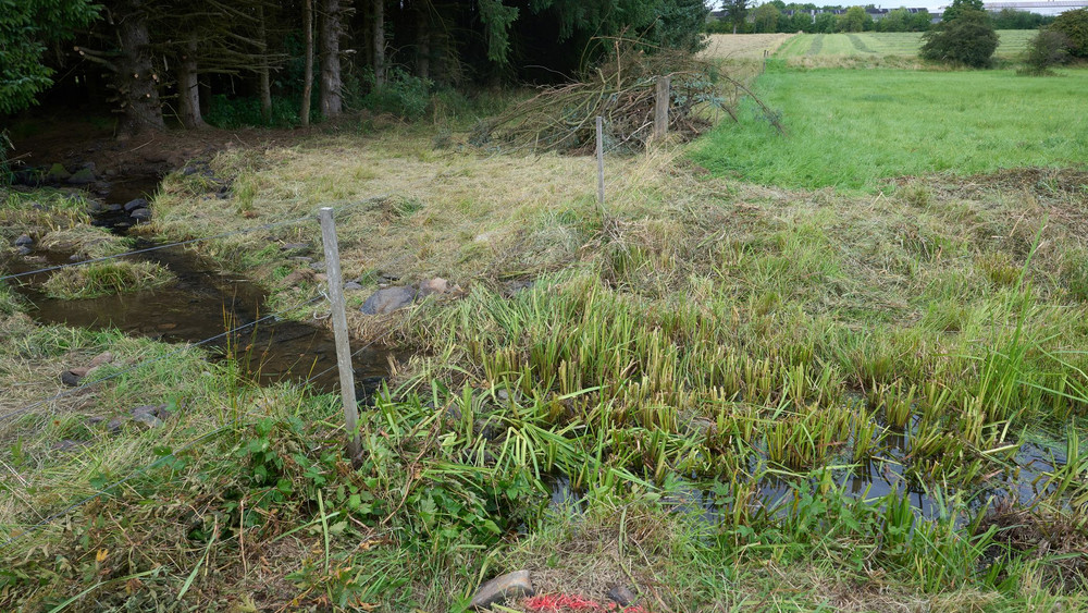 Dreifachmörder im Westerwald 