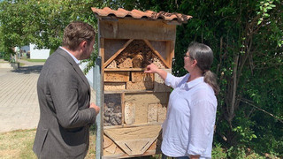 Eltville Grundschule gestaltet Klima-Schulhof