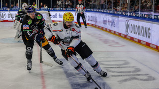 DEL: Löwen Frankfurt verlieren 2:5 gegen Meister Eisbären Berlin