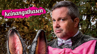 Johannes Scherer: Keinangsthasen/Very Nice/Best Of