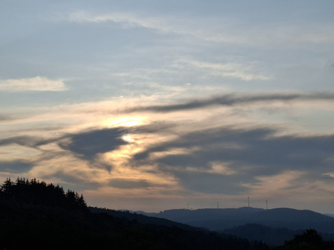Kalteiche Haiger
