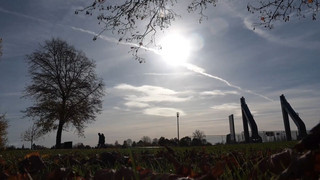 Goldener Herbst statt grauer November: Viele Teile Deutschlands freuen sich über sonniges Wetter