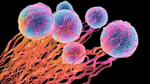 Acht Krebsrisiken, die kaum einer kennt – und die vermeidbar sind