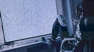 White-Tiger-Prozess in Hamburg beginnt