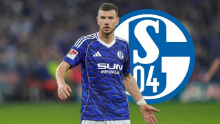 Medien: Dzeko bleibt bei Schalke
