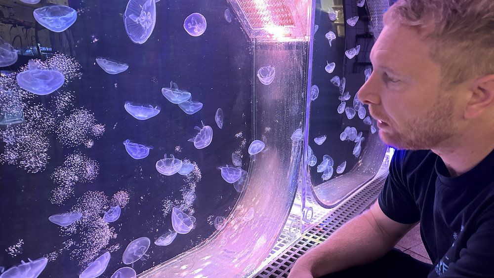 Alexander Dressel vor einem seiner Aquarien. 