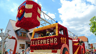 Rosenfest in Steinfurth - Dorf verwandelt sich in ein Blütenmeer