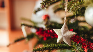 Weihnachtsbaum-Schmuck in Hessen