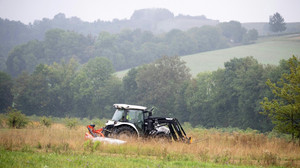 Blühendes Leben am Todesstreifen: Das grüne Band als Europa-Projekt
