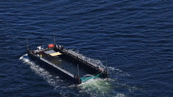 Noch lange nicht am Ziel: Transportboot mit gestrandetem Wal unterwegs