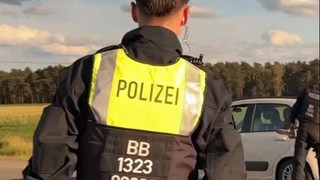 Vieh-Diebe gesucht: Neue Polizeikontrolle in Brandenburg