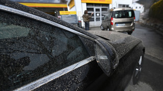 Gelbe Pollen auf Autos: Das steckt dahinter