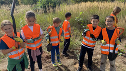 Dietzenbacher Grundschulkinder pflanzen 550 neue Bäume