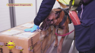 Kampf gegen Drogenwelle am Flughafen