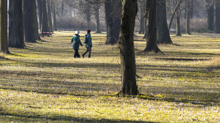 Landesgartenschau Oberhessen: Hirzenhain pflanzt 10 000-Euro-Bäume