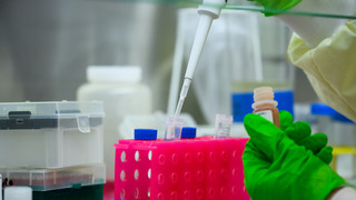 Biotechcampus in Mainz - Bagger rollen im B158