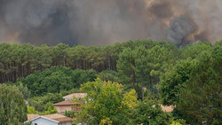 Frankreich: Großbrand in Wäldern von Cap Ferret, tausende müssen fliehen