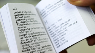 Künstliche Intelligenz: ChatGPT kann hessisch