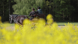 1. Hallenturnier in Hilders