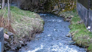 Frau bei Hilders tot aus kleinem Bach geborgen