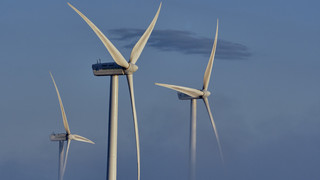 Bürgerentscheid in Eltville zum Thema Windkraft