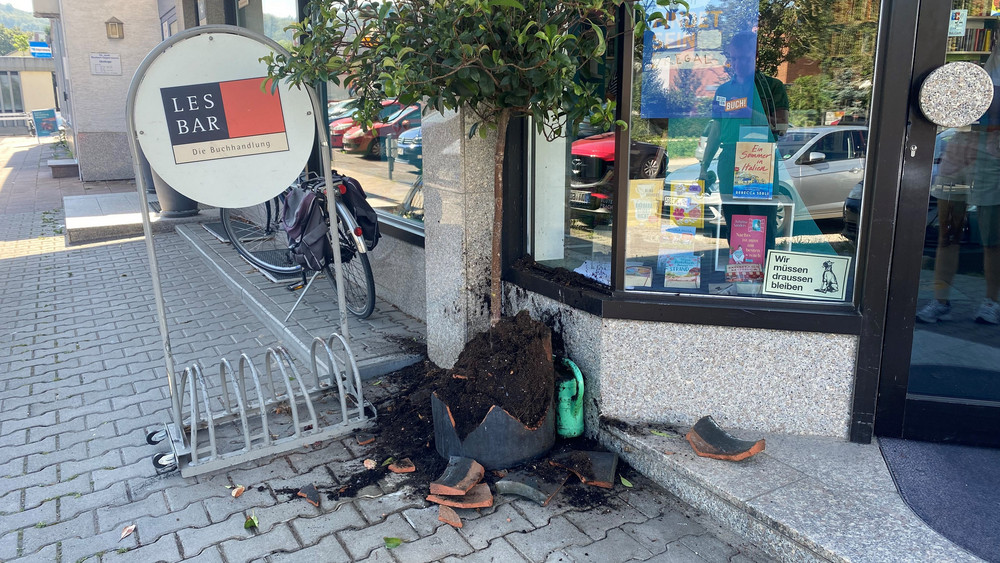 Bei dem Unfall in Seeheim-Jugenheim ging zum Glück nur der Blumenkübel kaputt.