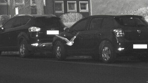 Taube geblitzt: Polizei lässt "gefiederte Verkehrssünderin" entkommen