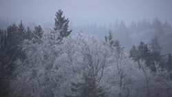 Frostig und glatt: Kälteste Weihnachtstage seit 15 Jahren