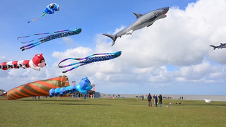 Giganten am Nordseehimmel: Drachenfest in Norddeich