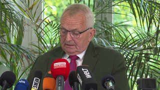 Buckelwal lebte nach Freisetzung nur noch maximal fünf Tage