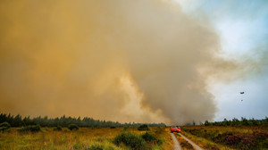 Waldbrand-Qualm aus Belgien sorgt für Notrufe in Hessen