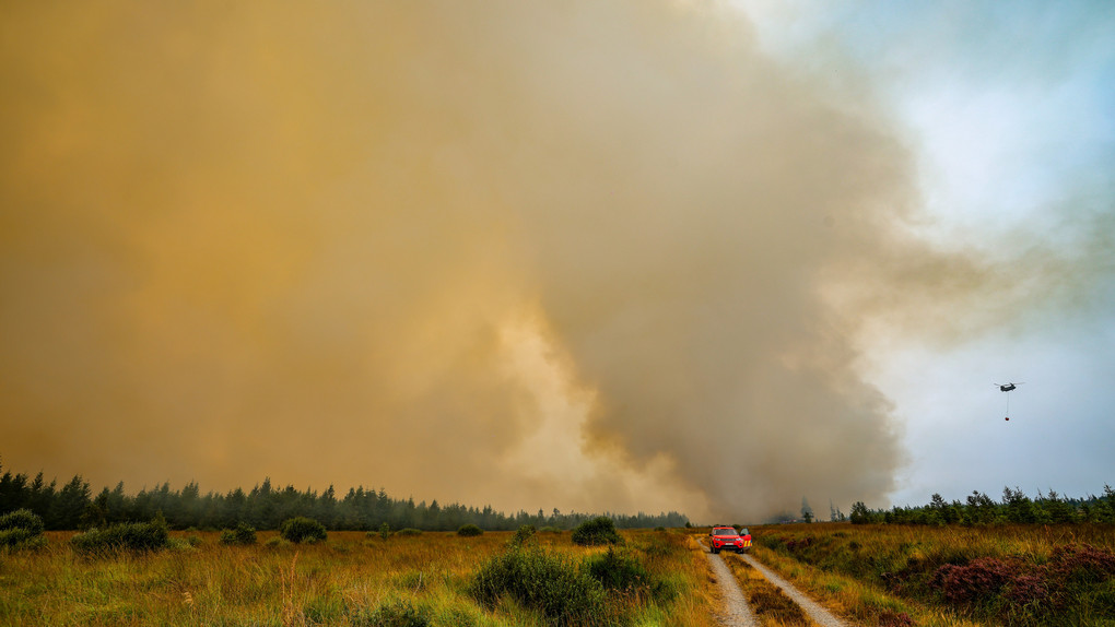 Waldbrand-Qualm aus Belgien sorgt für Notrufe in Hessen