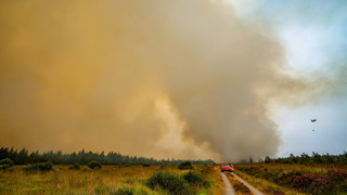 Waldbrand-Qualm aus Belgien sorgt für Notrufe in Hessen