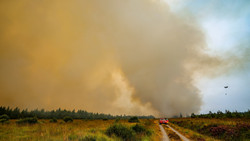 Waldbrand-Qualm aus Belgien sorgt für Notrufe in Hessen