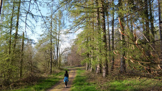 Kreuz & Quer am 01.09.2024